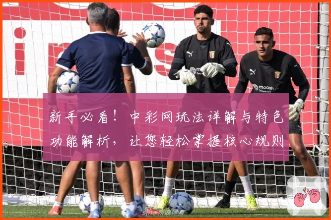 新手必看！中彩网玩法详解与特色功能解析，让您轻松掌握核心规则