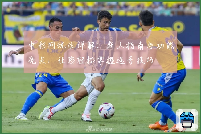 中彩网玩法详解：新人指南与功能亮点，让您轻松掌握选号技巧