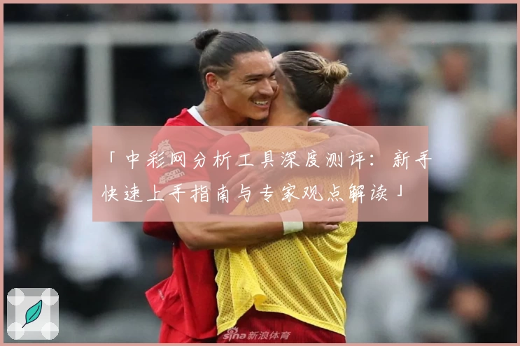 「中彩网分析工具深度测评：新手快速上手指南与专家观点解读」