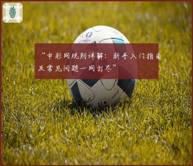 “中彩网规则详解：新手入门指南及常见问题一网打尽”