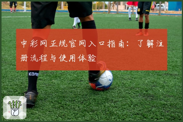 中彩网正规官网入口指南：了解注册流程与使用体验
