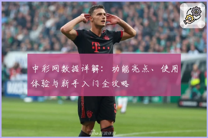 中彩网数据详解：功能亮点、使用体验与新手入门全攻略