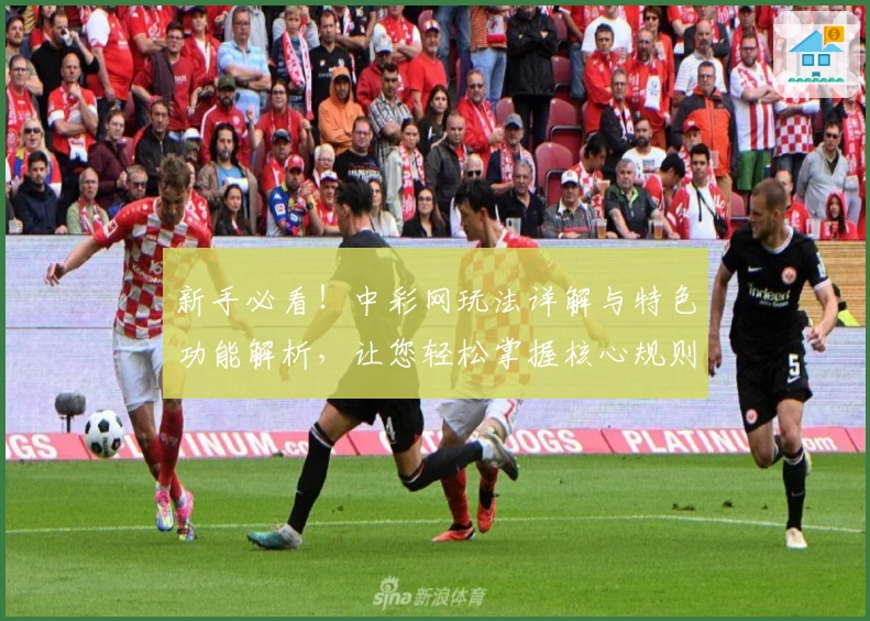 新手必看！中彩网玩法详解与特色功能解析，让您轻松掌握核心规则