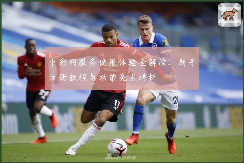 中彩网服务使用体验全解读：新手注册教程与功能亮点详析