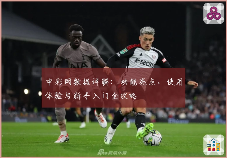 中彩网数据详解：功能亮点、使用体验与新手入门全攻略