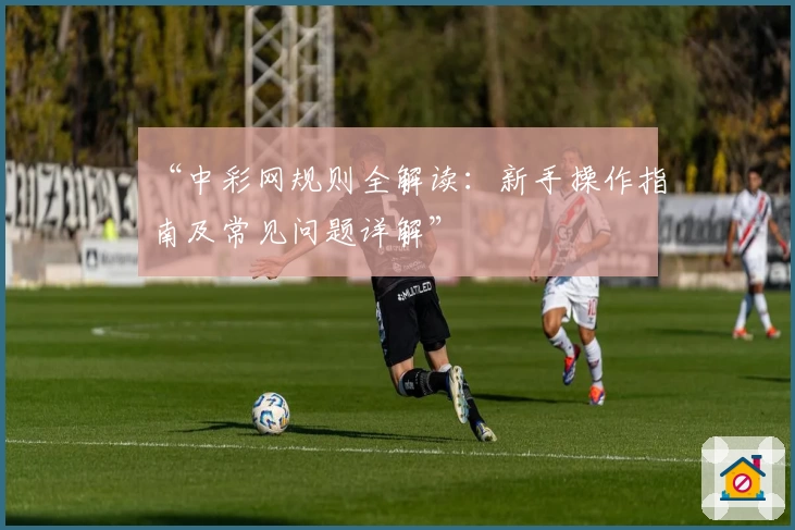 “中彩网规则全解读：新手操作指南及常见问题详解”