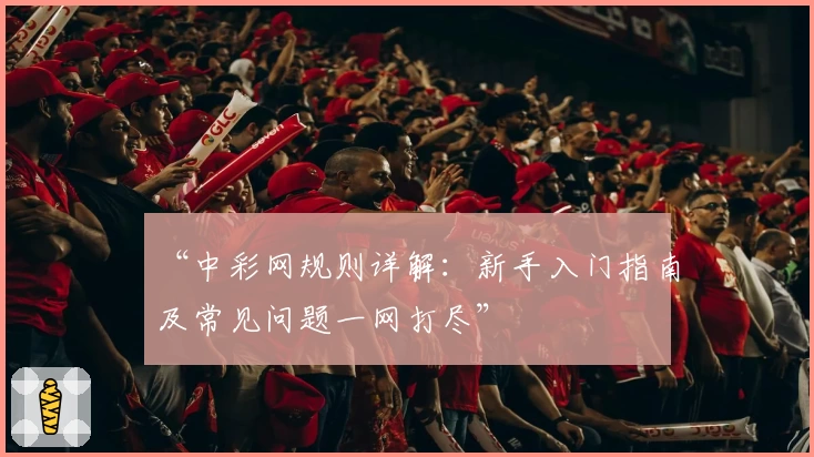 “中彩网规则详解：新手入门指南及常见问题一网打尽”