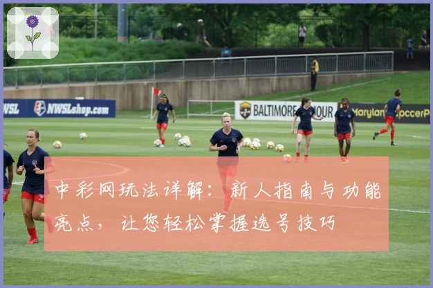 中彩网玩法详解：新人指南与功能亮点，让您轻松掌握选号技巧